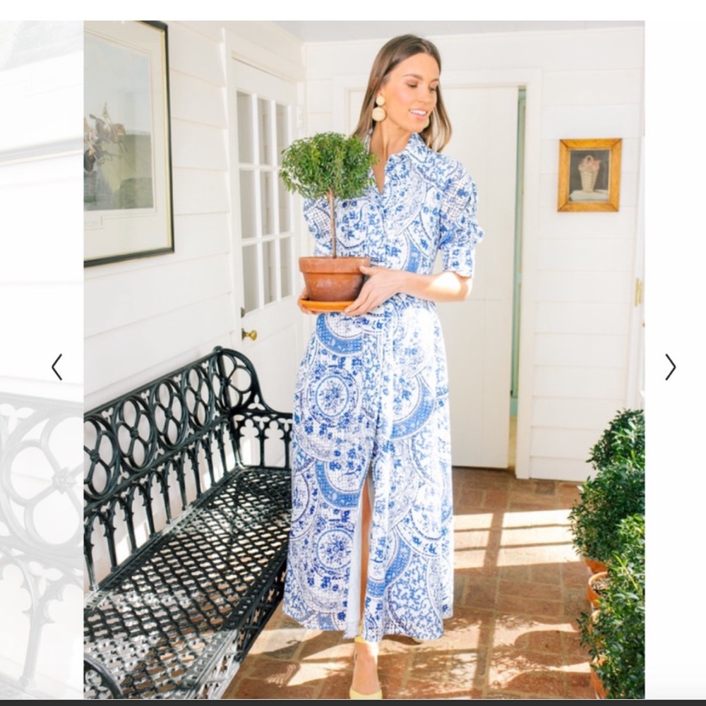 Tuckernuck China Blue Porcelain Dress